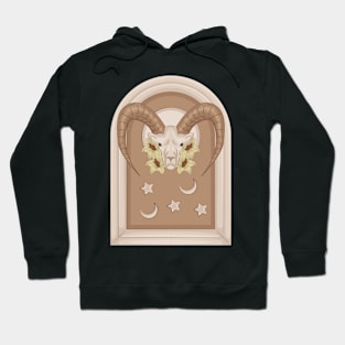 Capricorn Hoodie